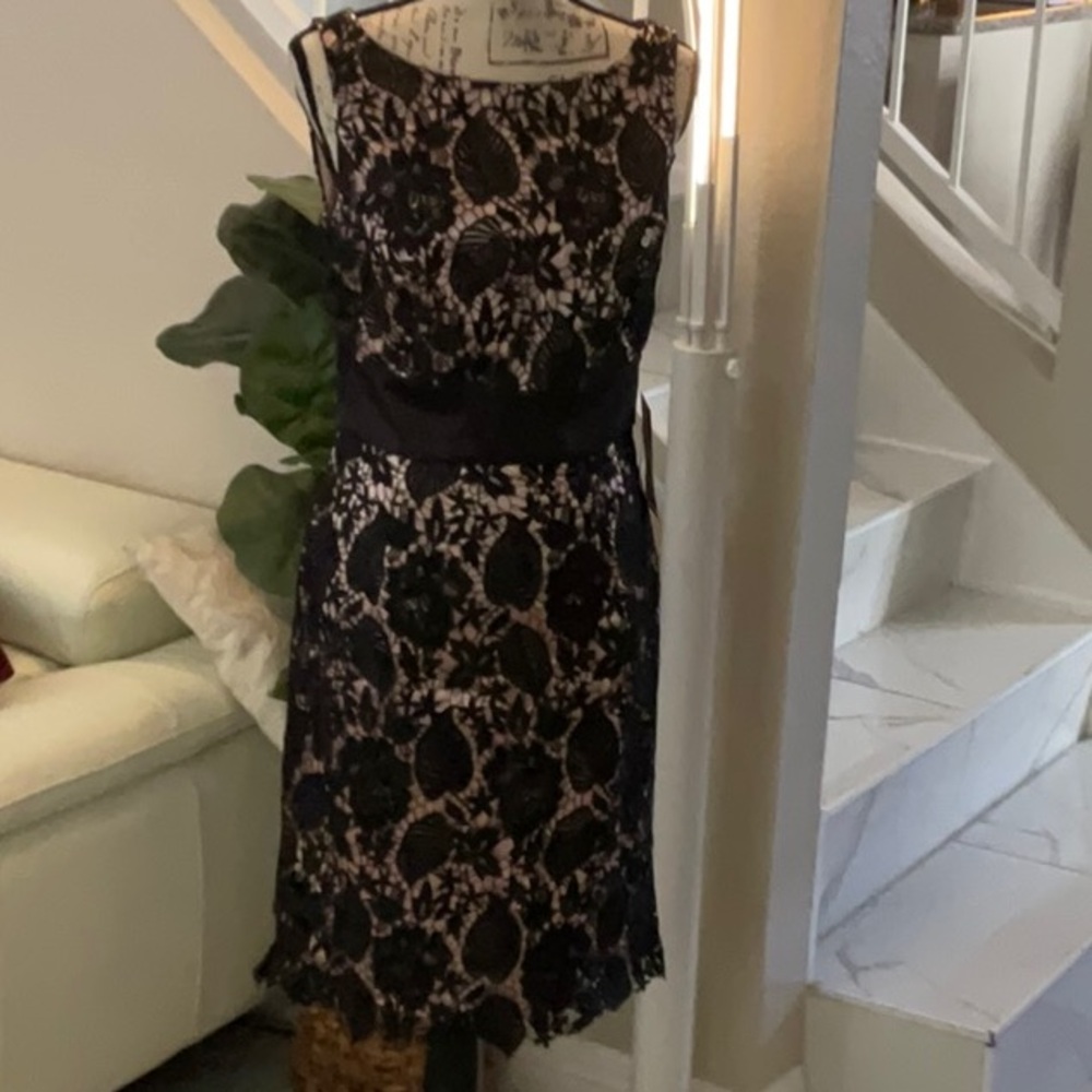 JS Collection.black lace dress Size 6 NWT